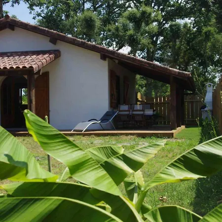 Azur, 3 Pieces, 4 Personnes - Fr-1-360-501 Tatil Evi Azur